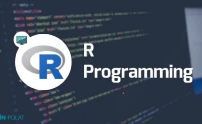 R (programming language)