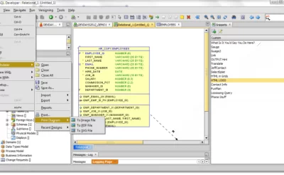 PL/SQL Programming Language