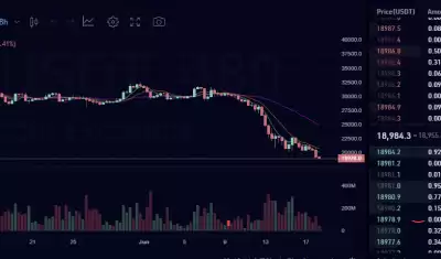 Downward movement: what will happen to the collapsed bitcoin