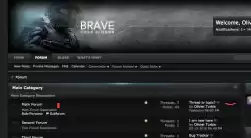 Brave skin for vB 4.0.2 [Skinbox