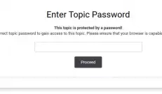 IPS 4 password protection of the theme