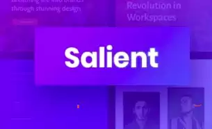 Salient v14.0.7 - multifunctional WordPress theme