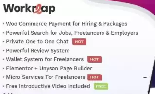 Workreap v2.5.3  wordpress freelance exchange template