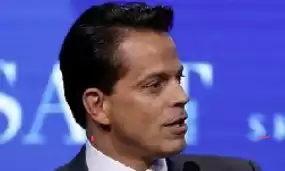 Anthony Scaramucci: "Bitcoin has performed better than the shares of popular technology companies"