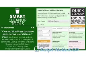 Smart Cleanup Tools v5.2 - Plugin for WordPress