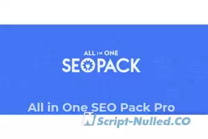 All in One SEO Pack Pro v4.2.9