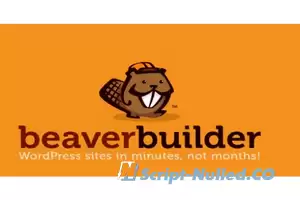 Beaver Builder Pro v2.6.2