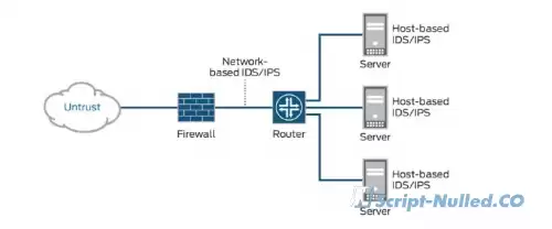 What is IDS?