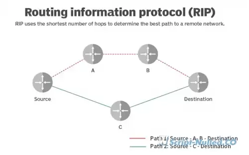 The RIP protocol. ☠️