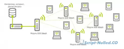 Mesh networks.