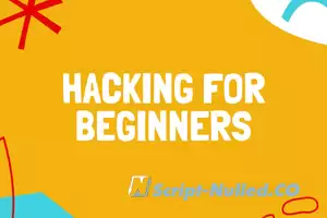 Hacking For Beginners