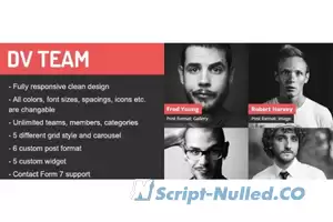 DV Team v2.2 - Responsive Team Showcase WordPress Plugin