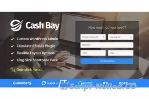 Cash Bay v1.1.3 - Loan & Credit Money WP Theme