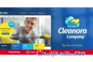 Cleanora v1.1.1 - Cleaning Services Theme