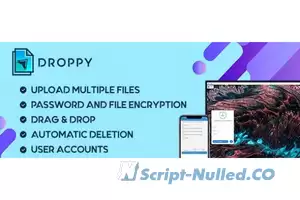 Droppy v2.4.8 - Online file transfer and sharin