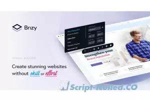 Brizy Pro v2.4.14 - WordPress Builder Plugin