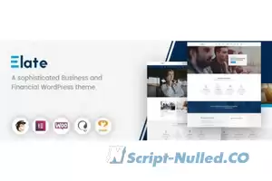 Elate v1.4.3 - Financial Consulting WordPress Theme