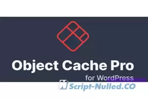 Redis Cache Pro v1.17.1