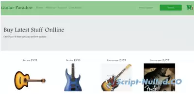 Online Guitar Store IN PHP, CSS, JavaScript, AND MYSQL | FREE DOWNLOAD