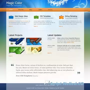 Magic Color Template