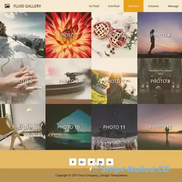Fluid Gallery Template