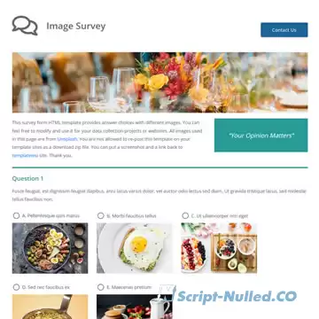 Image Survey Template