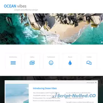 Ocean Vibes Template