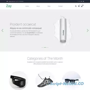 Zay Shop Template