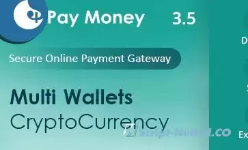 PayMoney v3.9.1 - Secure Online Payment Gateway - nulled