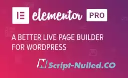 Elementor PRO v3.15.0 NULLED