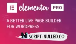 Elementor PRO v3.18.1 NULLED