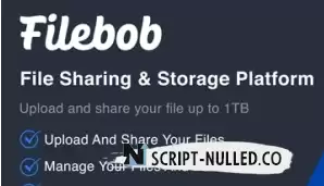 Filebox v1.8 NULLED is a file sharing and storage platform