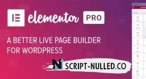 Element or PRO 3.18.2 NULLED - WordPress Page Builder