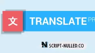 Translate Press Business v2.6.6 NULLED - WordPress translation plugin