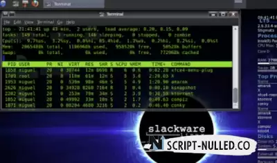 Slackware Linux