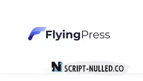 Flying Press v4.10.2 NULLED - WordPress Site acceleration plugin