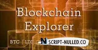 Download - Blockchain Explorer v1.2.0 - Bitcoin, Litecoin, Dash, Dogecoin, ZCash  - NULLED