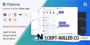 Download - Chatvia v1.0.1 - Laravel Pusher Chat App