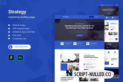 Strategy Marketing Landing Page