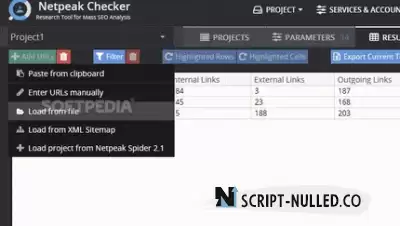 Netpeak Checker 3.7.0.8 Crack Full Version