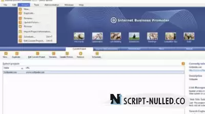 Internet Business Promoter (IBP) Crack + Serial Number