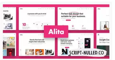 Alita v1.0.1 - Web Studio WordPress Theme