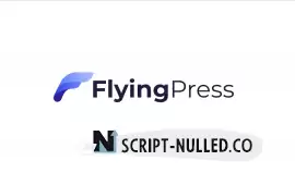 Flying Press v4.11.0 NULLED - WordPress Site acceleration plugin