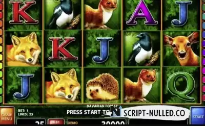 Download software online casino slot Bavarian Forest (source code)