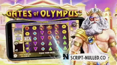 Download software online casino slot Gates of Olympus (source code)