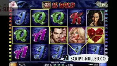 Download software online casino slot American Gigolo CT (source code)