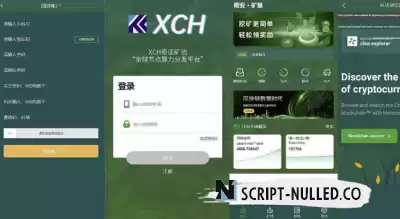 Script BZZ coin system/PHA coin system/XCH/chia coin system/BTH/ETH mining