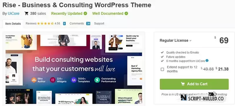 Rise - Business & Consulting WordPress Theme (Nulled)